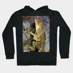 Frilled-neck Lizard Hoodie